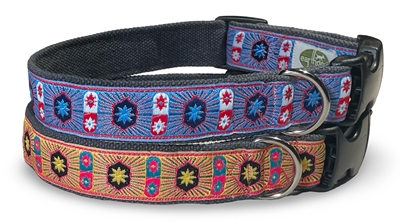 collars for may drop available in blue color with radiating stars
