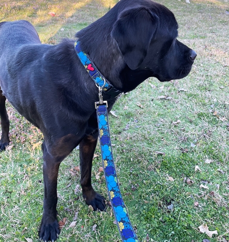 blue hawaii hemp leashes - earthdog-bhl