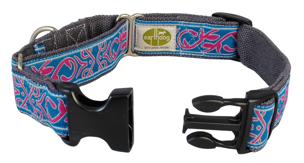 Buckle collar online dog