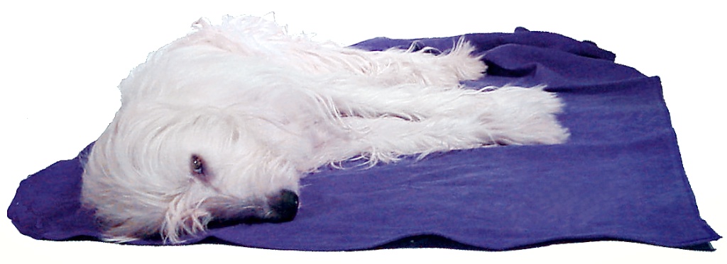 Hemp Blanket Hemp Fleece Dog Blanket Earthdog