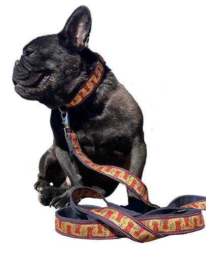 earthdog pack member nigel wearing the hemp castle collar & leash